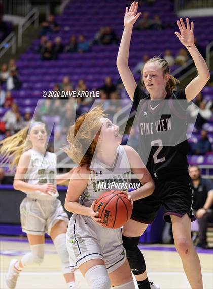 Thumbnail 1 in Pine View vs. Ridgeline (UHSAA 4A Quarterfinal) photogallery.