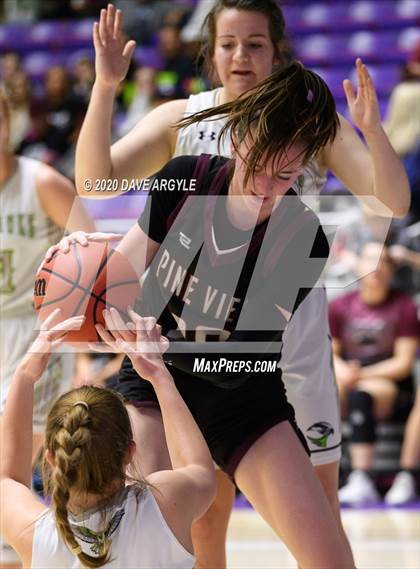 Thumbnail 1 in Pine View vs. Ridgeline (UHSAA 4A Quarterfinal) photogallery.