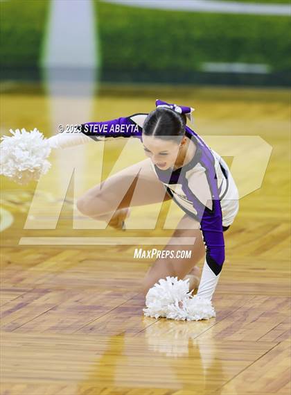 Thumbnail 3 in Douglas County CHSAA Spirit Poms photogallery.