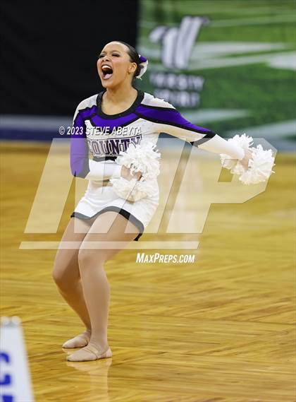 Thumbnail 1 in Douglas County CHSAA Spirit Poms photogallery.