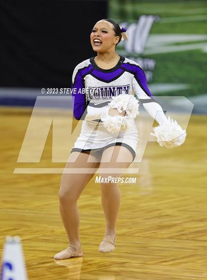 Thumbnail 3 in Douglas County CHSAA Spirit Poms photogallery.