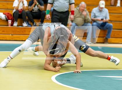 Thumbnail 3 in Wagner Duals photogallery.