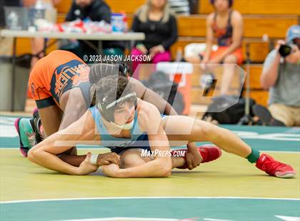 Thumbnail 1 in Wagner Duals photogallery.