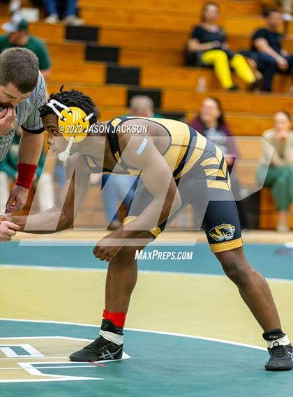 Thumbnail 1 in Wagner Duals photogallery.