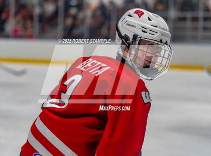 Thumbnail 2 in West Allegheny @ Avonworth photogallery.
