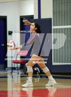 Photo from the gallery "Mountain View @ Patriot"