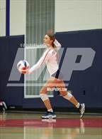 Photo from the gallery "Mountain View @ Patriot"