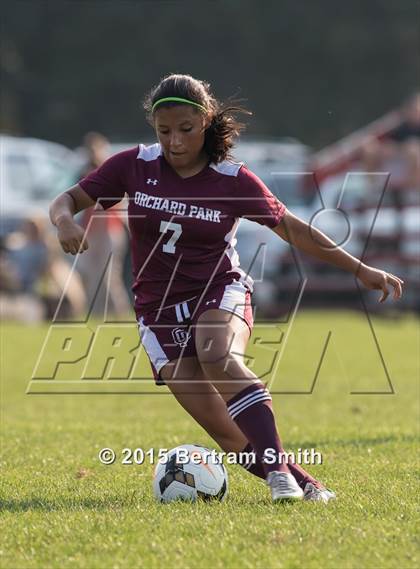 Thumbnail 2 in Orchard Park @ Clarence photogallery.