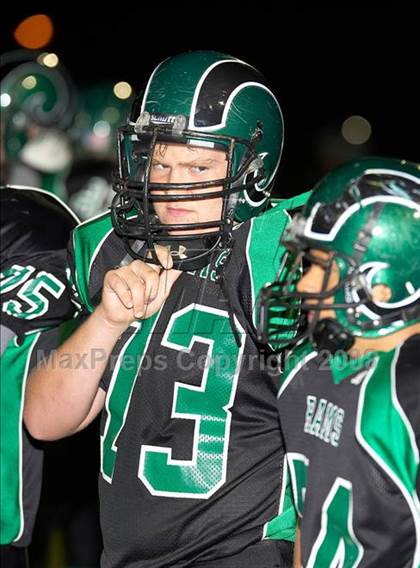 Thumbnail 1 in Bear River @ Dixon (CIF SJS D4 Playoffs) photogallery.
