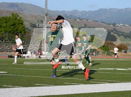 Thumbnail 3 in Hill @ Live Oak photogallery.