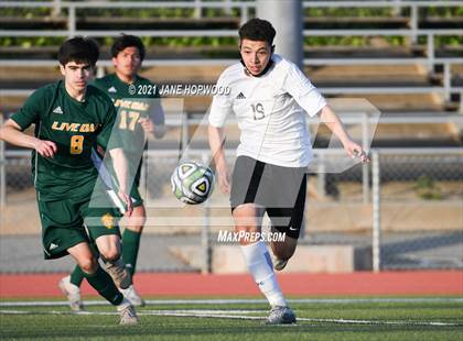 Thumbnail 2 in Hill @ Live Oak photogallery.