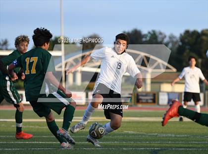 Thumbnail 2 in Hill @ Live Oak photogallery.