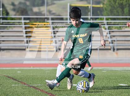 Thumbnail 3 in Hill @ Live Oak photogallery.
