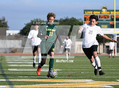Thumbnail 2 in Hill @ Live Oak photogallery.