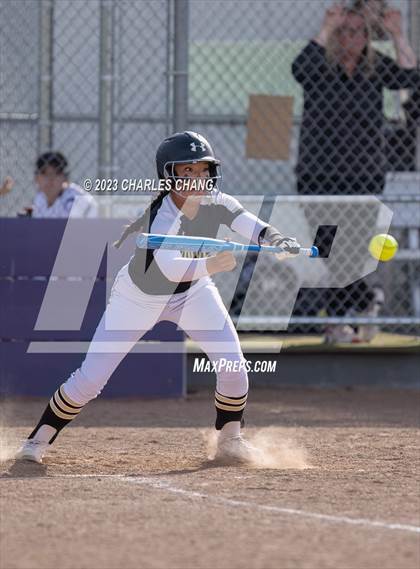 Thumbnail 2 in American Canyon vs Petaluma photogallery.