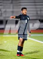 Photo from the gallery "Laguna Creek @ Burbank"