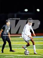 Photo from the gallery "Laguna Creek @ Burbank"