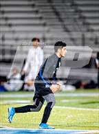 Photo from the gallery "Laguna Creek @ Burbank"