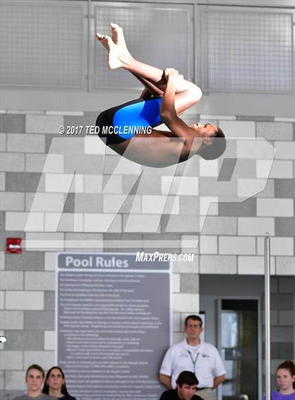 Thumbnail 1 in Conway Invitational Dive Meet photogallery.