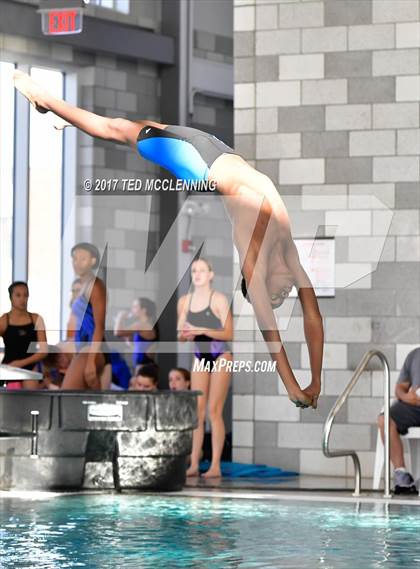 Thumbnail 3 in Conway Invitational Dive Meet photogallery.