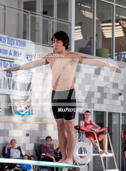 Thumbnail 1 in Conway Invitational Dive Meet photogallery.