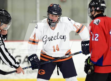 Thumbnail 1 in Somers/North Salem @ Horace Greeley photogallery.