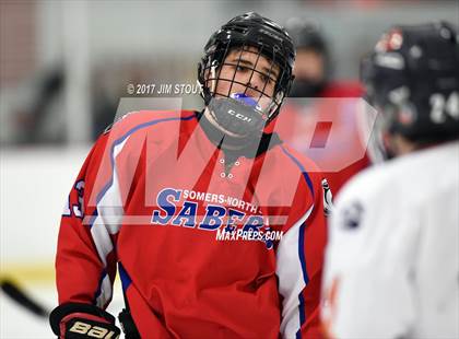Thumbnail 2 in Somers/North Salem @ Horace Greeley photogallery.