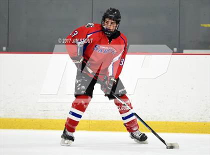 Thumbnail 2 in Somers/North Salem @ Horace Greeley photogallery.