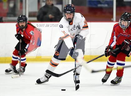 Thumbnail 3 in Somers/North Salem @ Horace Greeley photogallery.