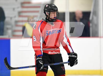 Thumbnail 3 in Somers/North Salem @ Horace Greeley photogallery.