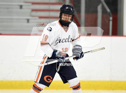 Thumbnail 3 in Somers/North Salem @ Horace Greeley photogallery.