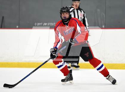 Thumbnail 2 in Somers/North Salem @ Horace Greeley photogallery.