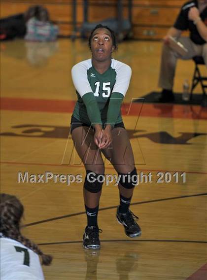 Thumbnail 2 in Poly @ Centennial photogallery.