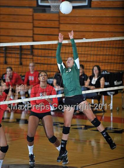 Thumbnail 3 in Poly @ Centennial photogallery.