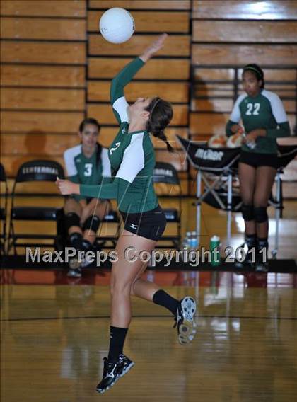 Thumbnail 3 in Poly @ Centennial photogallery.