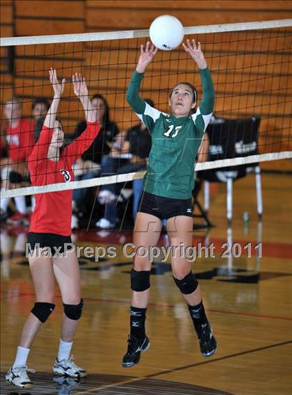 Thumbnail 1 in Poly @ Centennial photogallery.