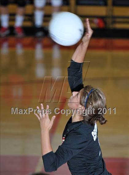 Thumbnail 3 in Poly @ Centennial photogallery.