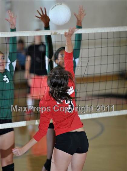 Thumbnail 3 in Poly @ Centennial photogallery.