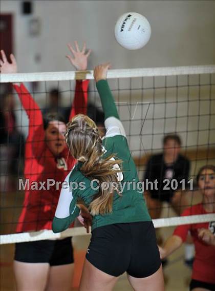 Thumbnail 2 in Poly @ Centennial photogallery.