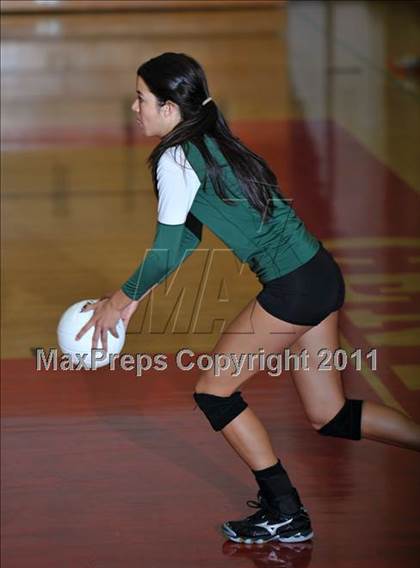 Thumbnail 1 in Poly @ Centennial photogallery.