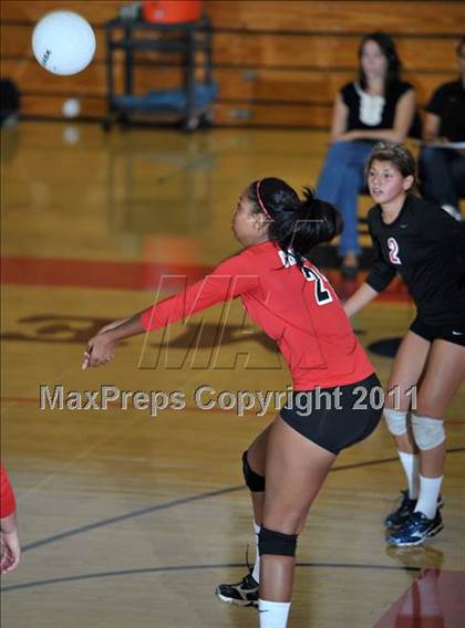 Thumbnail 1 in Poly @ Centennial photogallery.