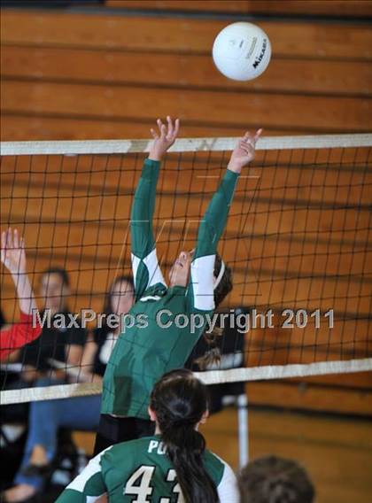 Thumbnail 2 in Poly @ Centennial photogallery.