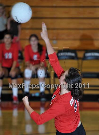 Thumbnail 1 in Poly @ Centennial photogallery.