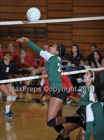 Thumbnail 1 in Poly @ Centennial photogallery.