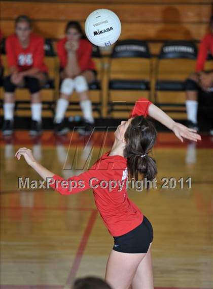 Thumbnail 1 in Poly @ Centennial photogallery.