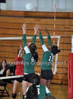 Photo from the gallery "Poly @ Centennial"