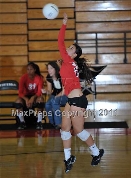 Thumbnail 2 in Poly @ Centennial photogallery.