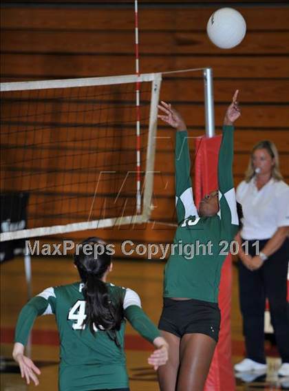 Thumbnail 3 in Poly @ Centennial photogallery.