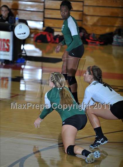 Thumbnail 1 in Poly @ Centennial photogallery.