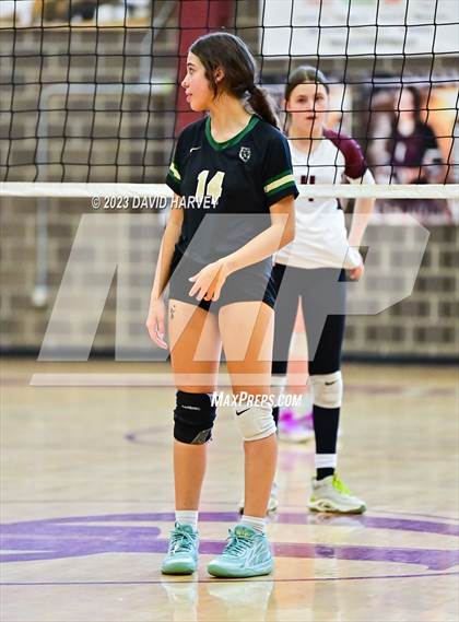 Thumbnail 1 in Golden vs. Bear Creek photogallery.